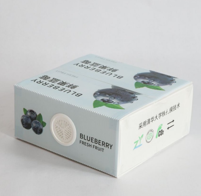 蓝莓二斤保鲜箱