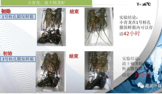 核孔膜保鲜箱